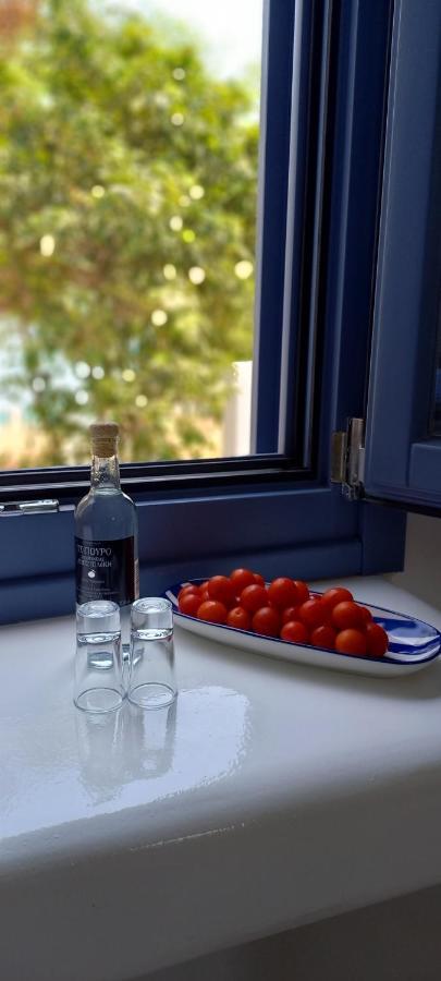 Ahinos Apartment Полония Екстериор снимка